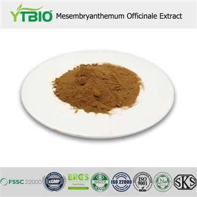 Εκχύλισμα mesembryanthemum officinale